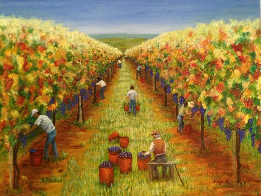 Grape Harvest Faye Matthews Fine Art